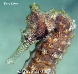 taken @ the ammo jetty by Dave Baxter 